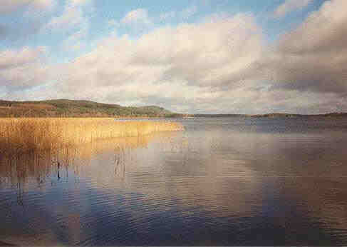 bottensee gif