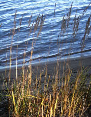Schweden Oktober  2005 013