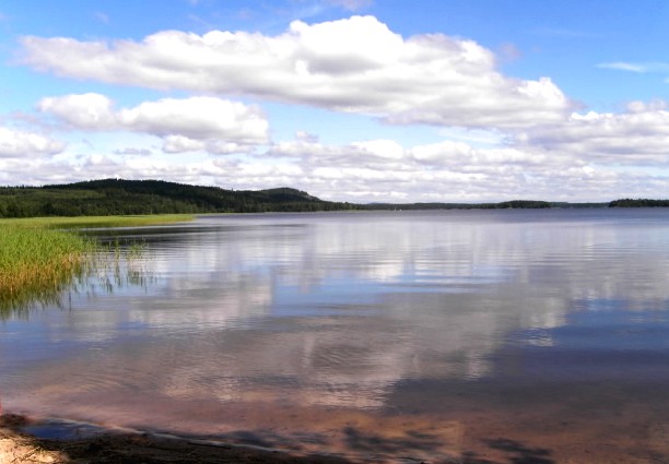 bottensee gif